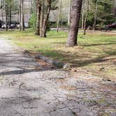 Review photo of Cades Cove Campground by Jean C., May 1, 2019