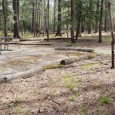 Review photo of Cades Cove Campground by Jean C., May 1, 2019