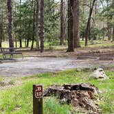 Review photo of Cades Cove Campground by Jean C., May 1, 2019