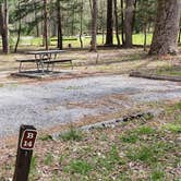 Review photo of Cades Cove Campground by Jean C., May 1, 2019