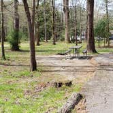 Review photo of Cades Cove Campground by Jean C., May 1, 2019