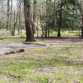 Review photo of Cades Cove Campground by Jean C., May 1, 2019