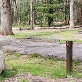 Review photo of Cades Cove Campground by Jean C., May 1, 2019