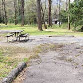 Review photo of Cades Cove Campground by Jean C., May 1, 2019