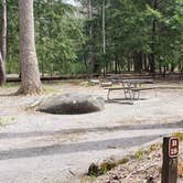 Review photo of Cades Cove Campground by Jean C., May 1, 2019