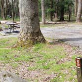 Review photo of Cades Cove Campground by Jean C., May 1, 2019