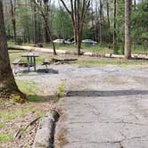 Review photo of Cades Cove Campground by Jean C., May 1, 2019
