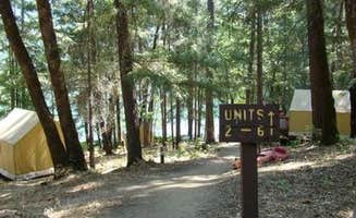 The Dyrt's photo at Trinity National Forest Mary Smith Campground near Junction City, CA