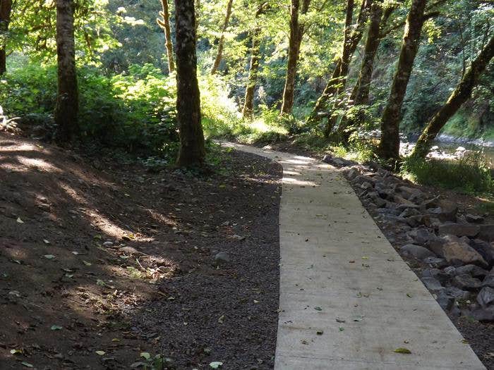Camper submitted image from Alder Glen Recreation Site - 1