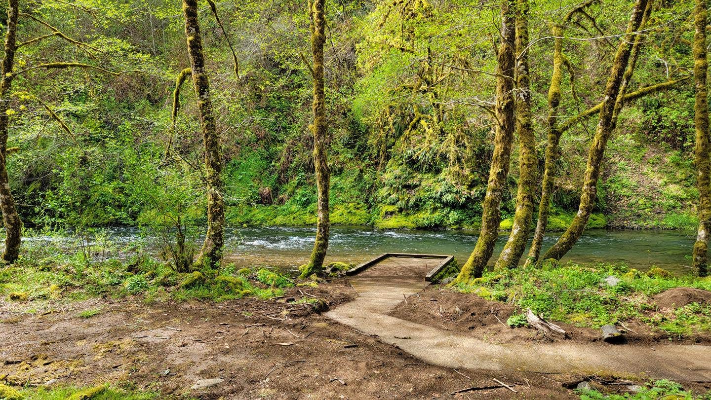 Camper submitted image from Alder Glen Recreation Site - 4