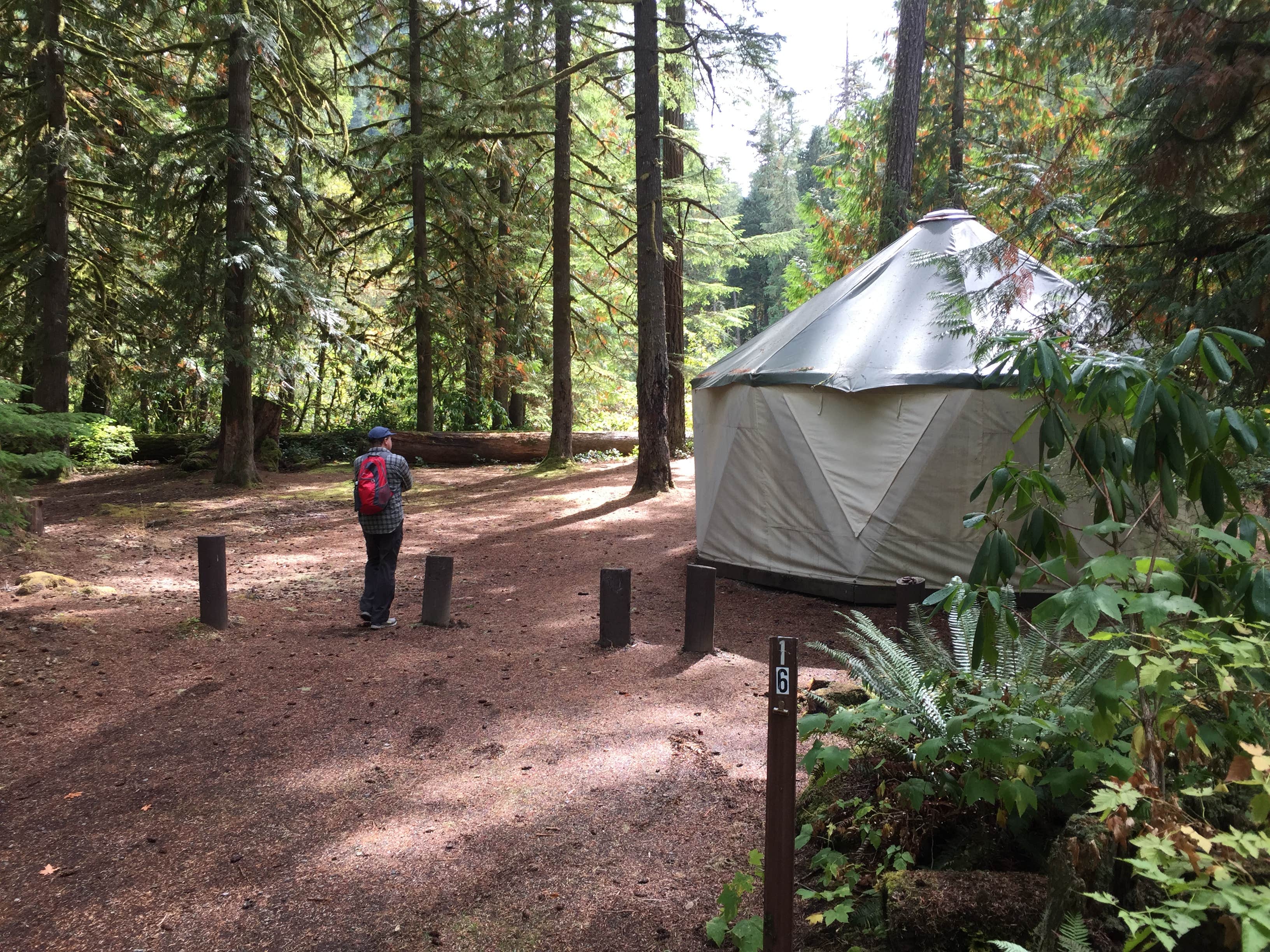 Bjorn S.'s photo of tent camping at Fish Creek Campground in Oregon