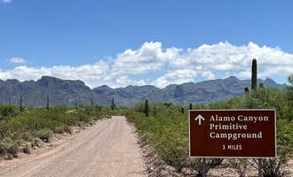 Camping near Hickiwan Trails Tribal RV Park: Alamo Canyon Primitive Campground — Organ Pipe Cactus National Monument, Lukeville, Arizona