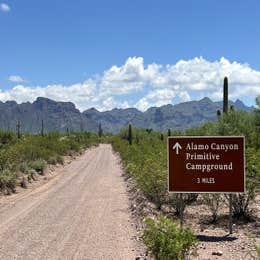 Public Campgrounds: Alamo Canyon Primitive Campground — Organ Pipe Cactus National Monument