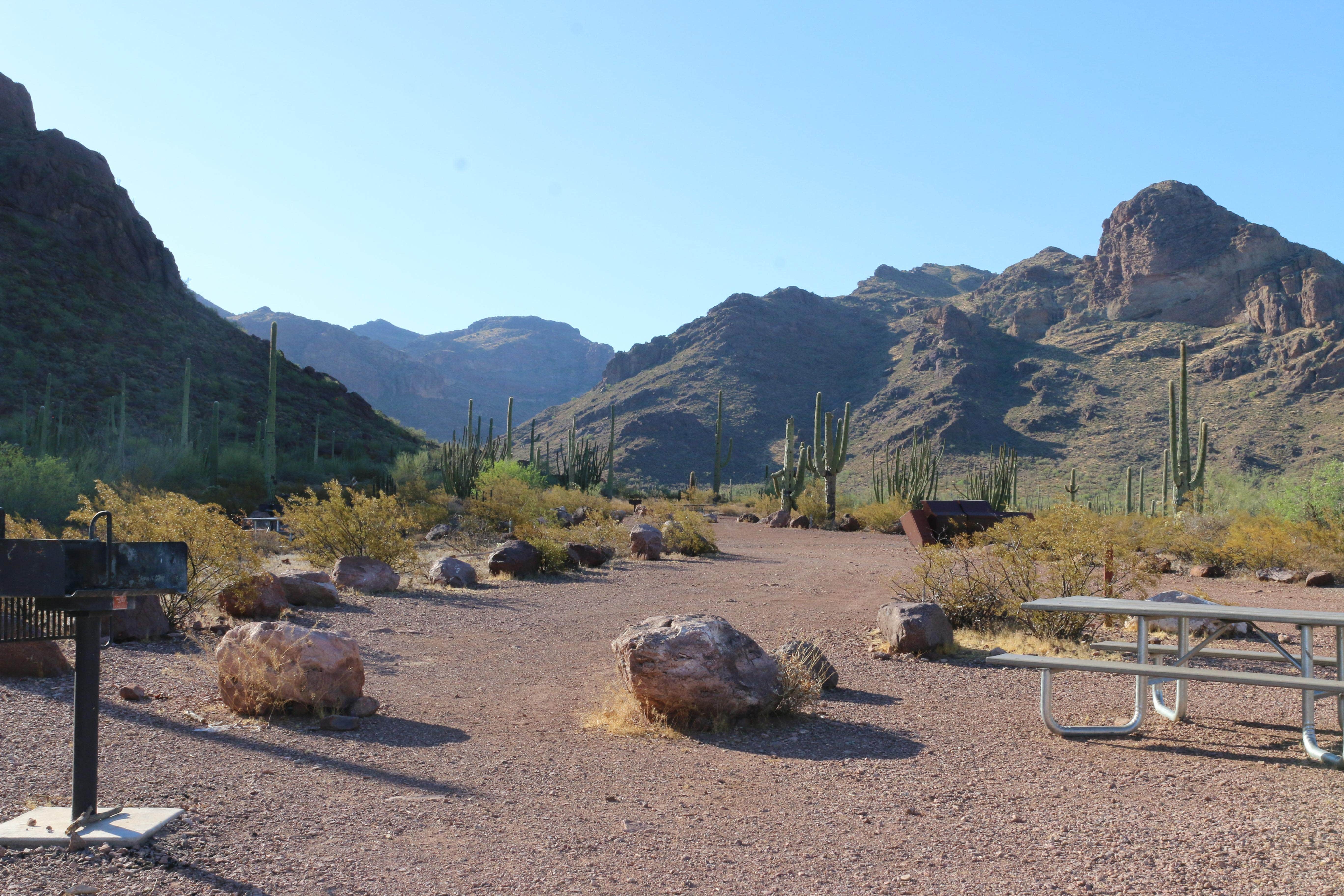 Camper submitted image from Alamo Canyon Primitive Campground — Organ Pipe Cactus National Monument - 1