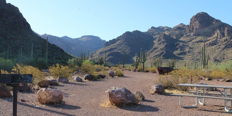 Camper submitted image from Alamo Canyon Primitive Campground — Organ Pipe Cactus National Monument