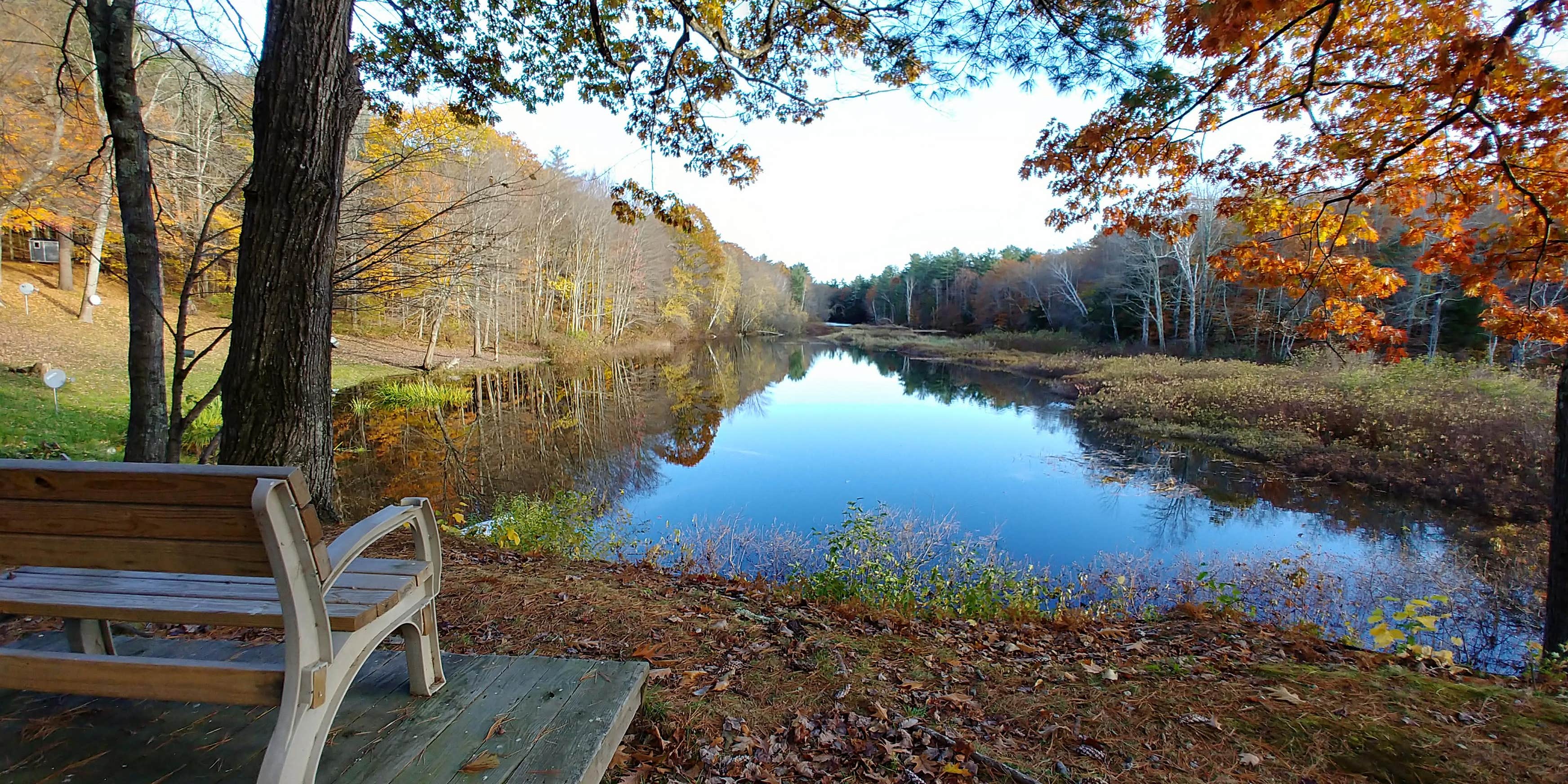 Martin Stream Campground | The Dyrt