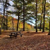 Review photo of Martin Stream Campground by Zach V., May 1, 2019