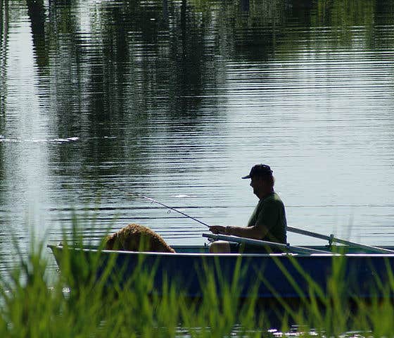 Camper-submitted photo at Village Green Family Campground near North Brookfield, MA
