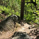 Review photo of Hawn State Park Campground by Valery M., May 1, 2019