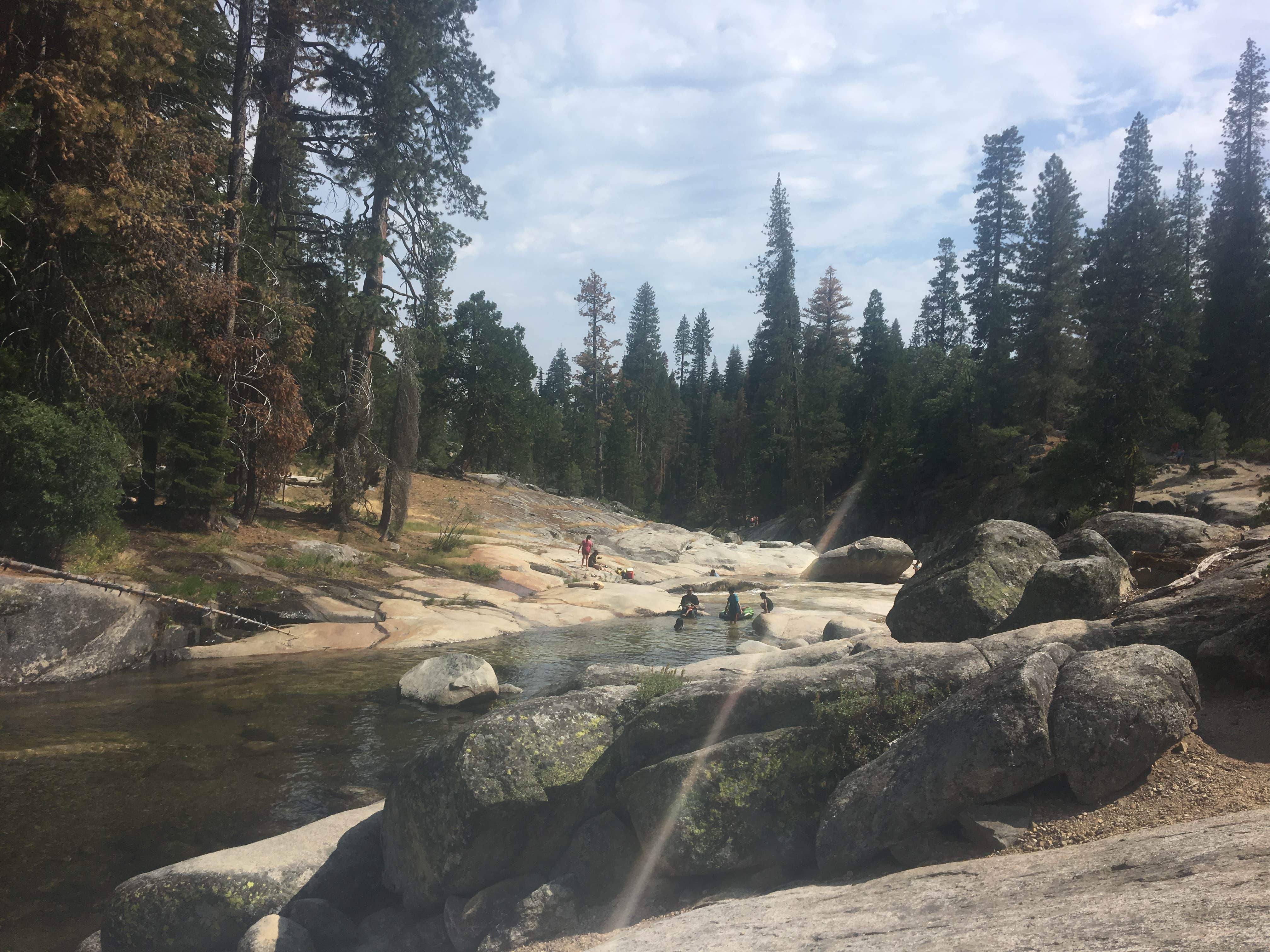 Dinkey Creek The Dyrt