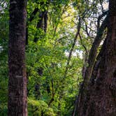 Review photo of Beavers Bend State Park Campground by Andrea S., May 1, 2019