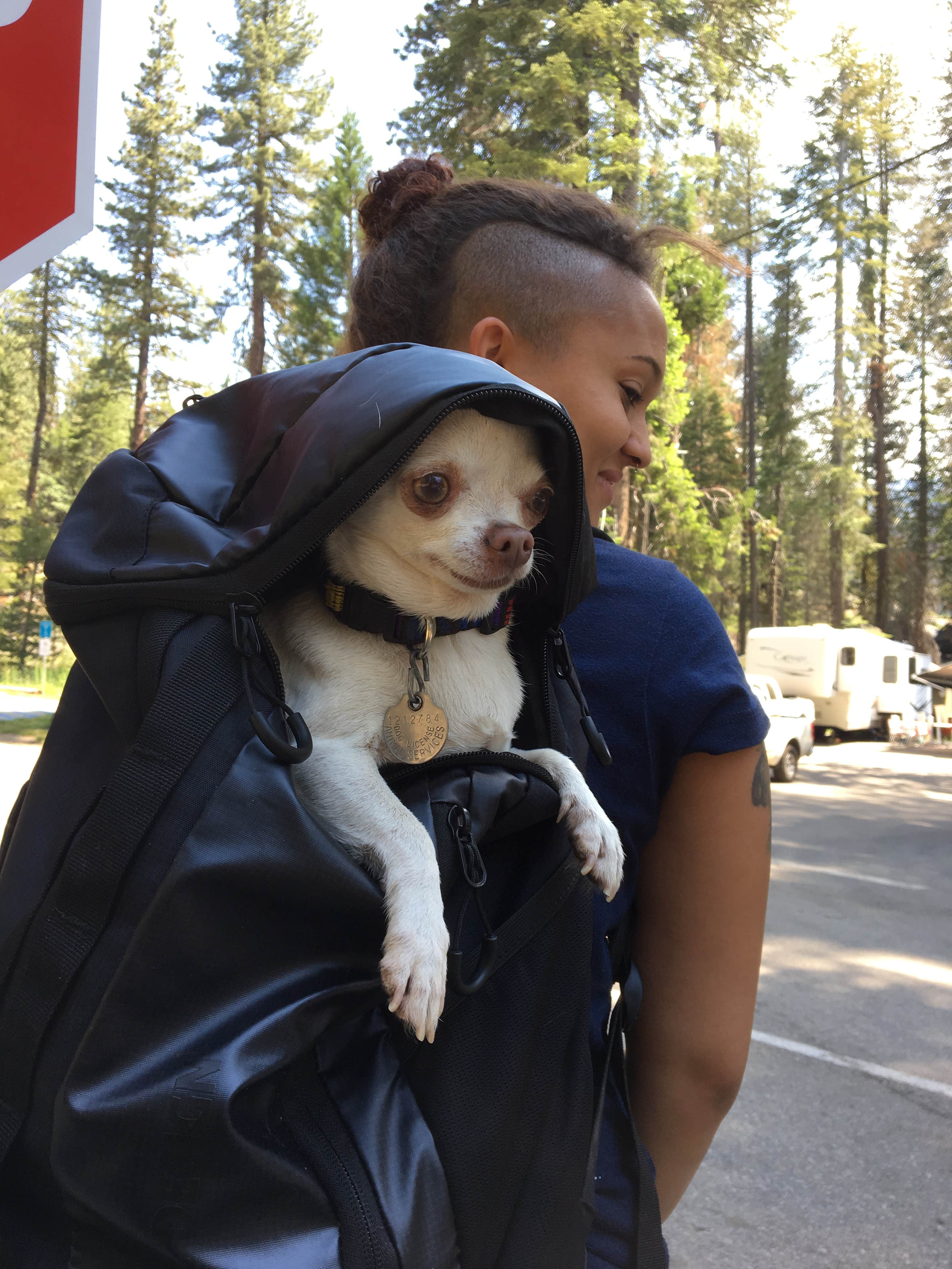 Camper-submitted photo at Dinkey Creek near Big Creek, CA