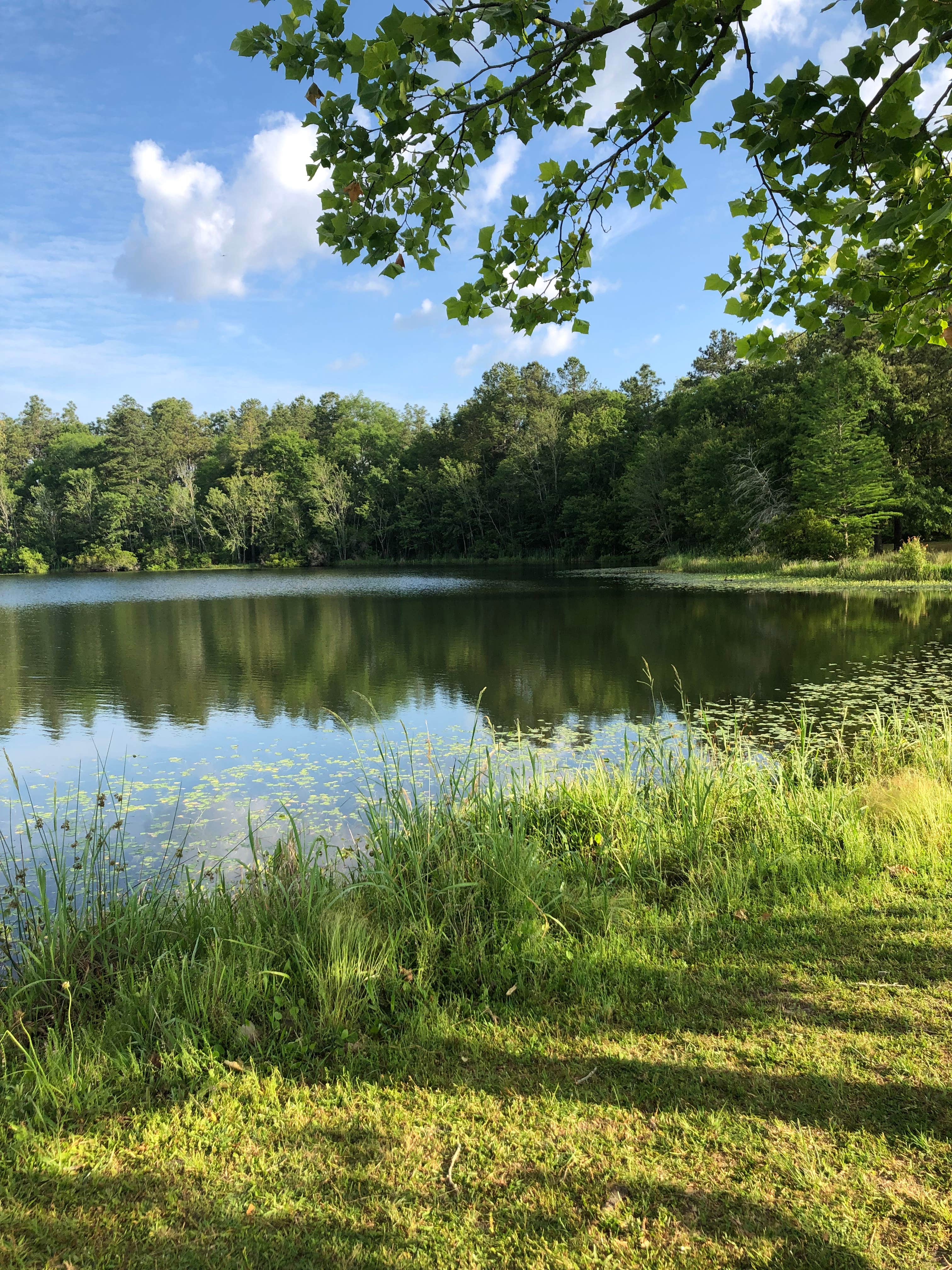 Camper-submitted photo at Hurricane Lake North Campground near Baker, FL