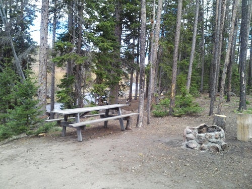 Camper submitted image from Beaver Meadows Resort Ranch - 1