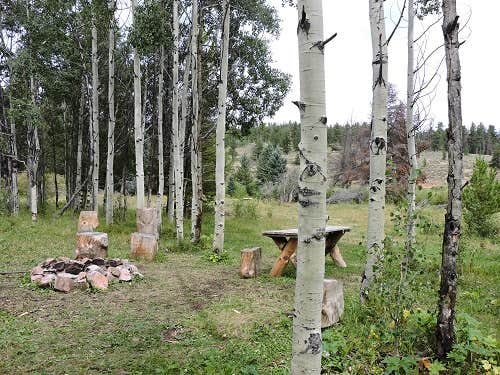Camper submitted image from Beaver Meadows Resort Ranch - 5
