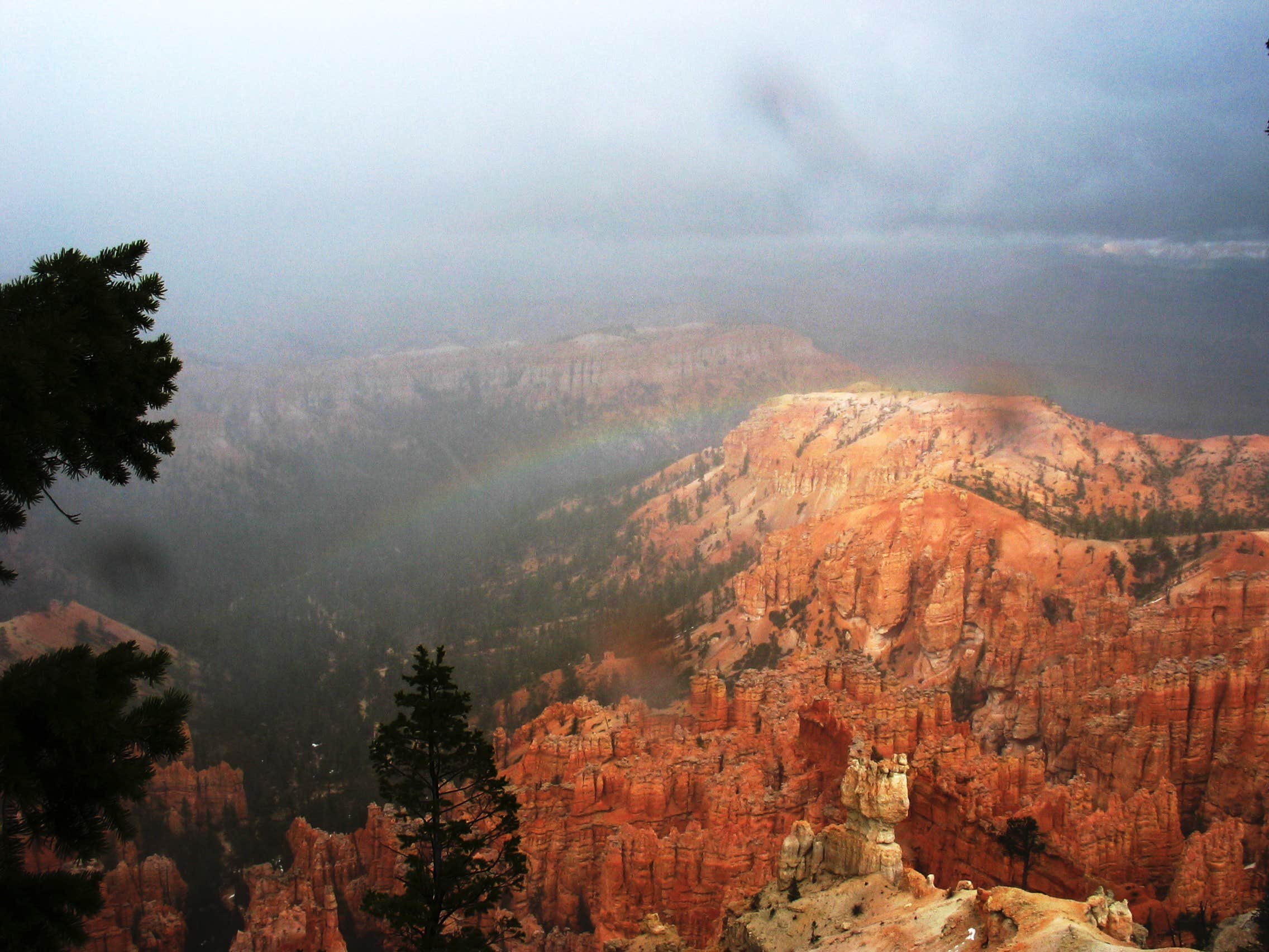 Camper submitted image from North Campground — Bryce Canyon National Park - 4
