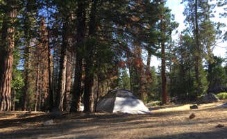 Raei B.'s photo at Dinkey Creek near Shaver Lake, CA