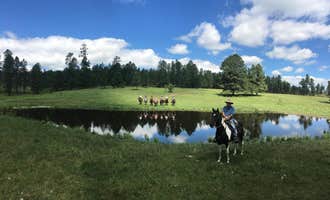 Camping near Blue Bell Campground — Custer State Park: Broken Arrow Horse and RV Campground, Custer, South Dakota