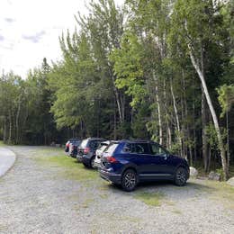 Public Campgrounds: Seawall Campground — Acadia National Park