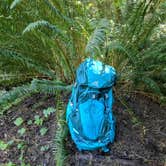 Review photo of Cape Perpetua by Meghan O., May 1, 2019