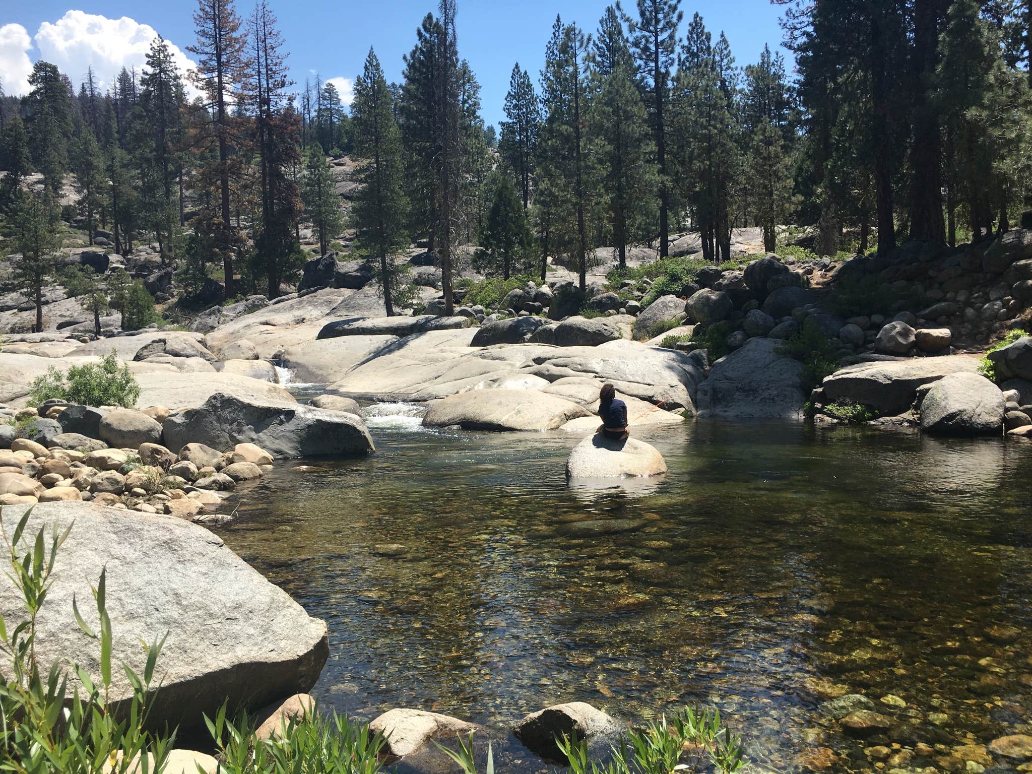 Camper-submitted photo at Dinkey Creek near Big Creek, CA
