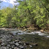 Review photo of Elkmont Campground — Great Smoky Mountains National Park by Jason P., May 2, 2019