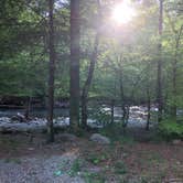 Review photo of Elkmont Campground — Great Smoky Mountains National Park by Jason P., May 2, 2019