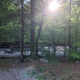 Review photo of Elkmont Campground — Great Smoky Mountains National Park by Jason P., May 2, 2019