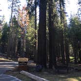 Review photo of Dinkey Creek by Raei B., August 29, 2016