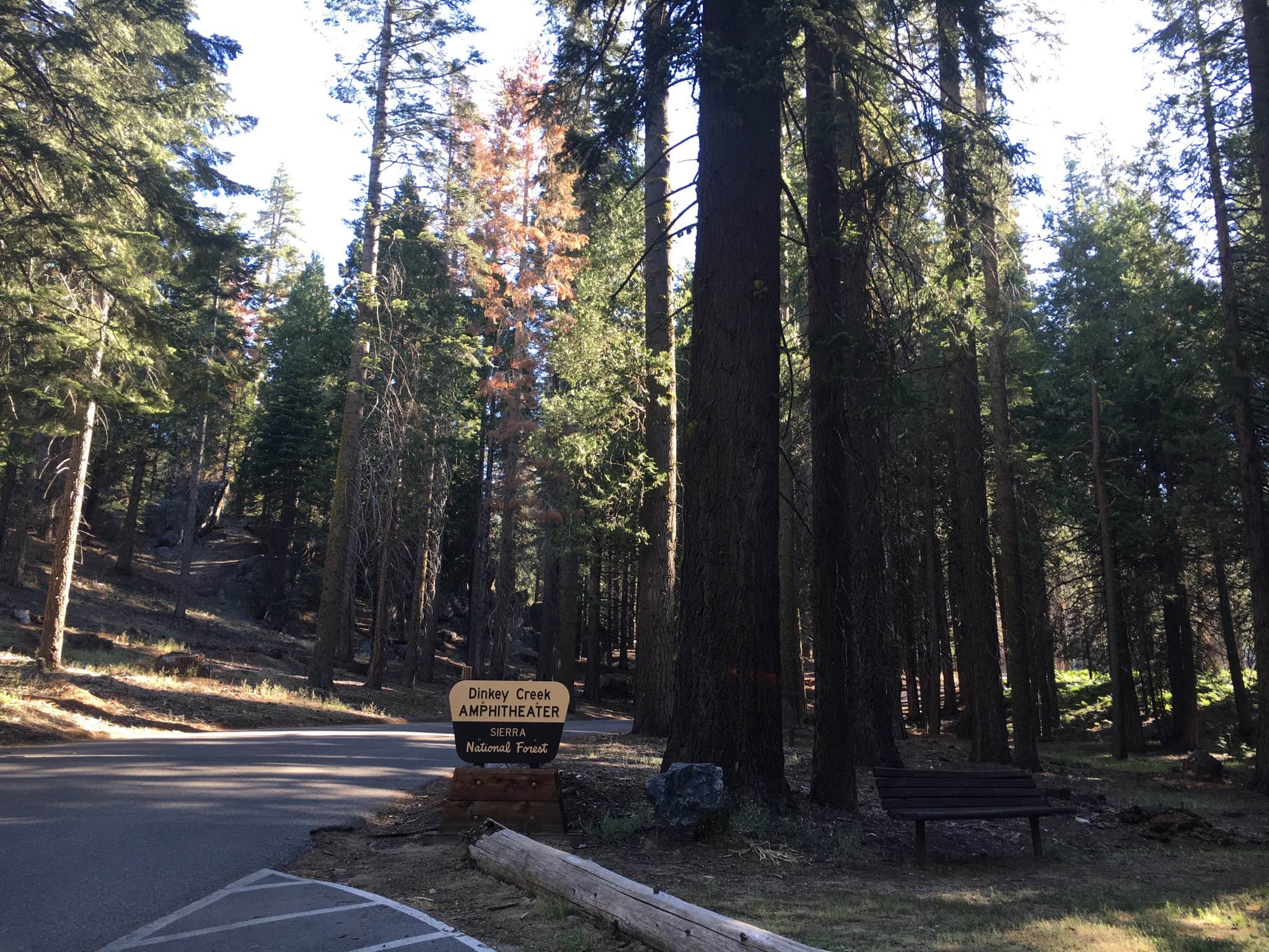 Camper submitted image from Dinkey Creek - 1
