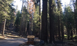 Camping near Sierra National Forest Summit Campground: Dinkey Creek, Shaver Lake, California