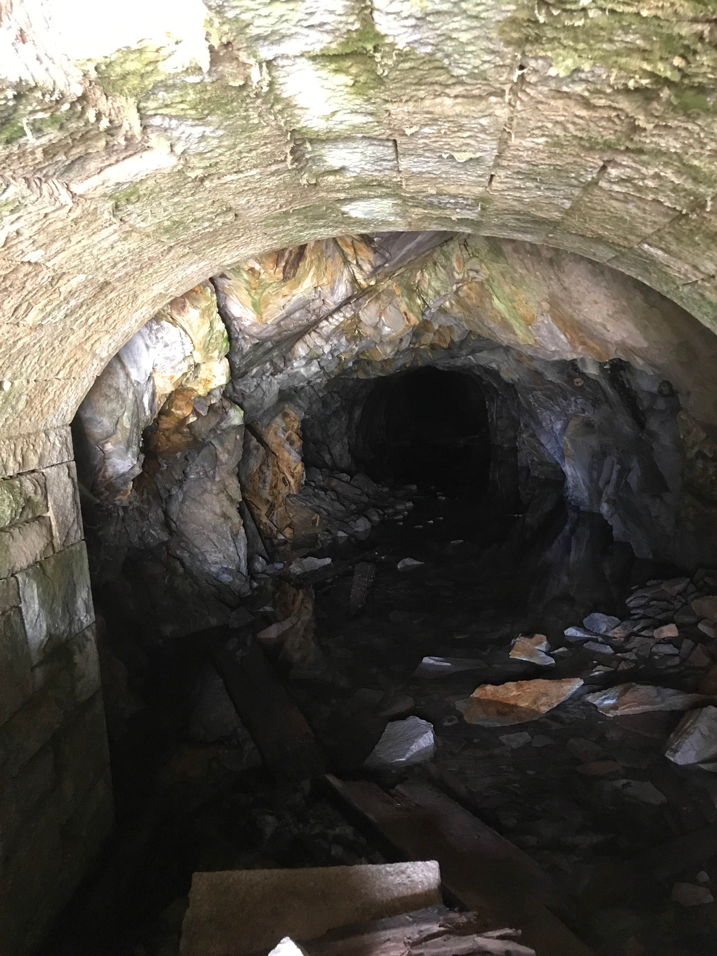 North Fork Campground Camping The Dyrt