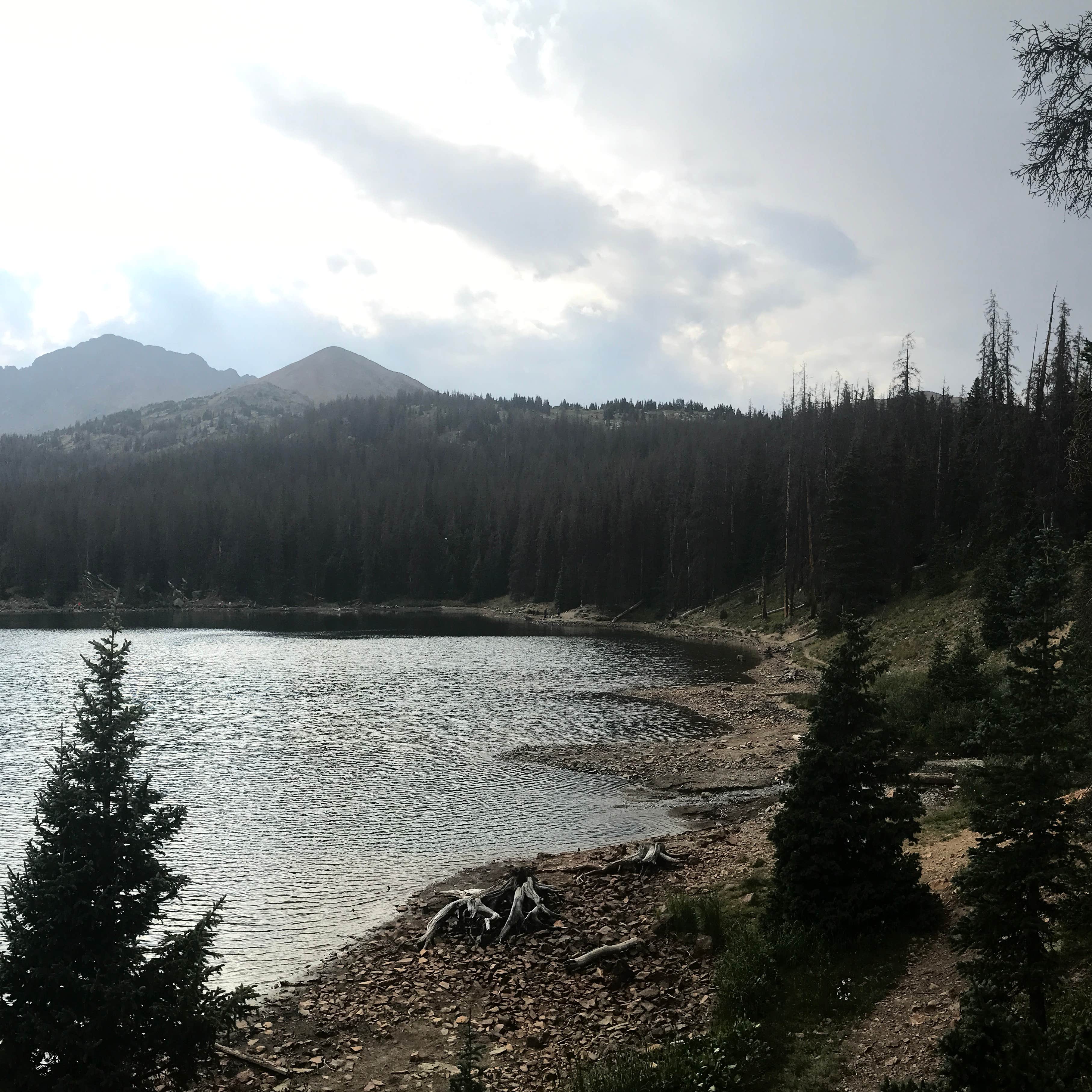 North Fork Campground Camping The Dyrt