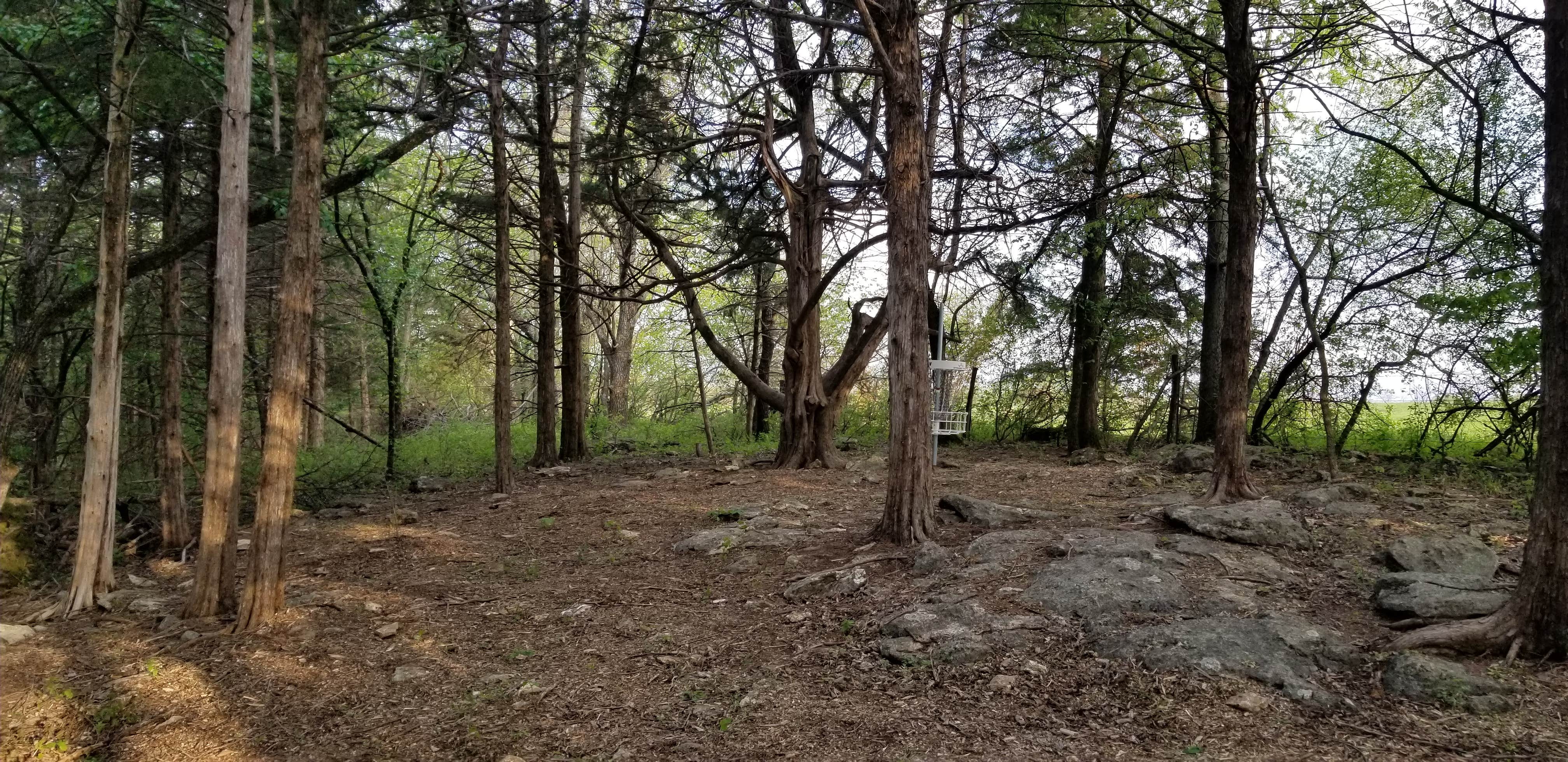 Camper-submitted photo at Lake Garnett City Park - North Lake Park near Mound City, KS