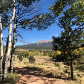 Review photo of Mueller State Park Campground by Kyla K., May 2, 2019