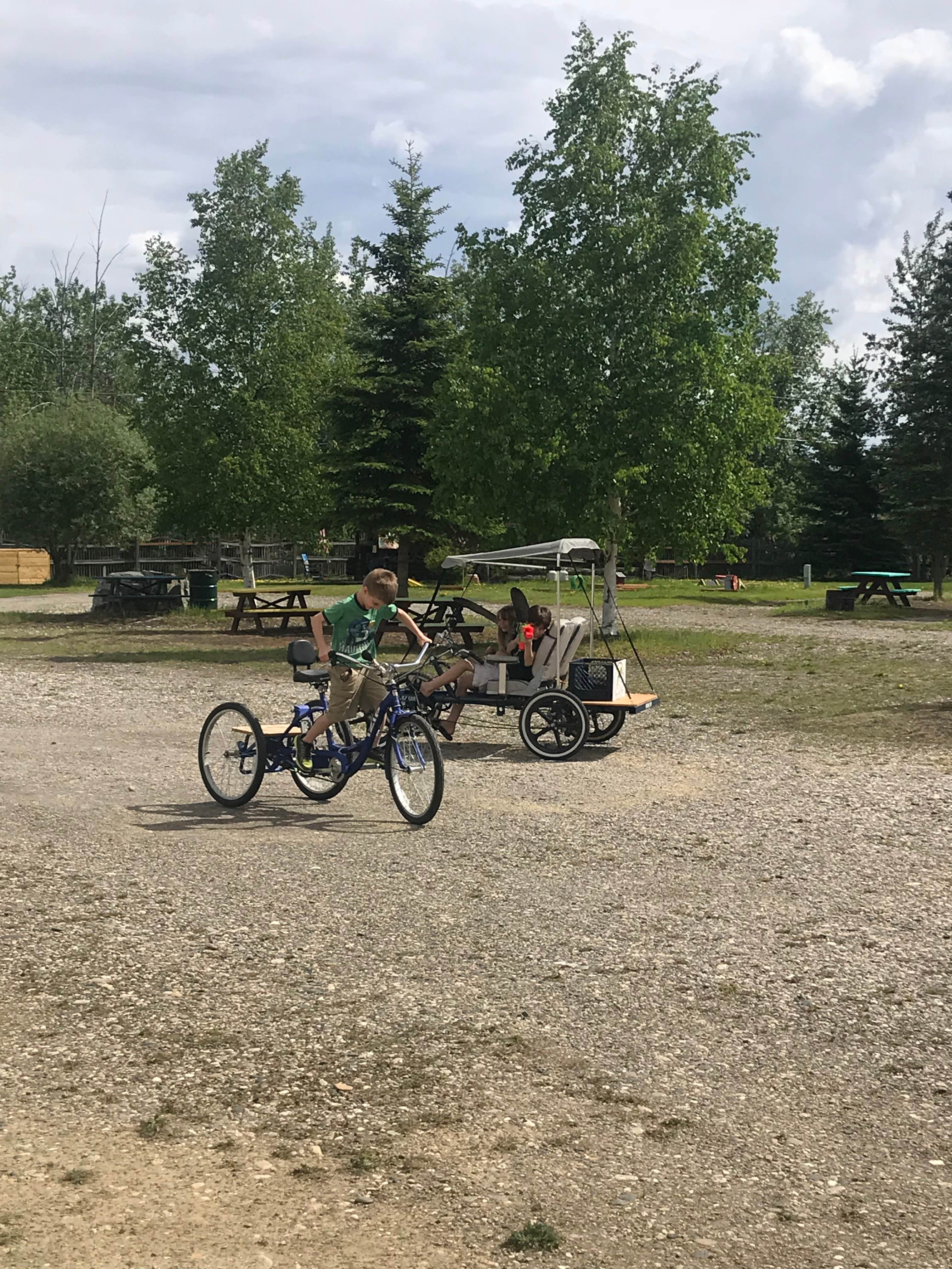 Camper submitted image from Nenana RV Park & Campground - 3