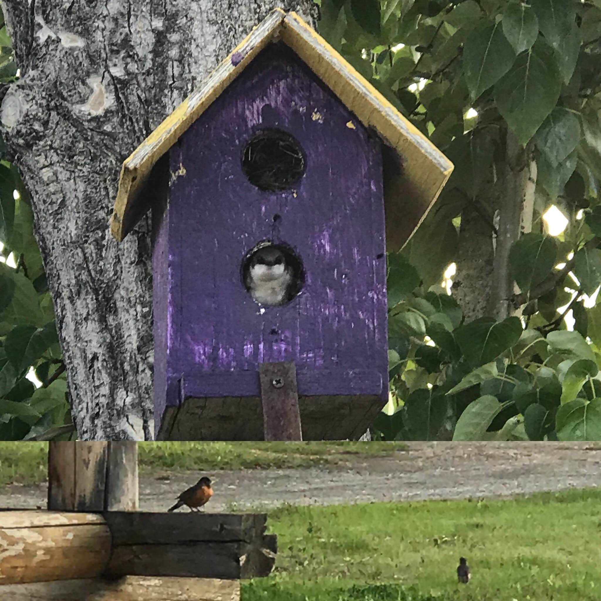 Camper-submitted photo at Nenana RV Park & Campground near Nenana, AK