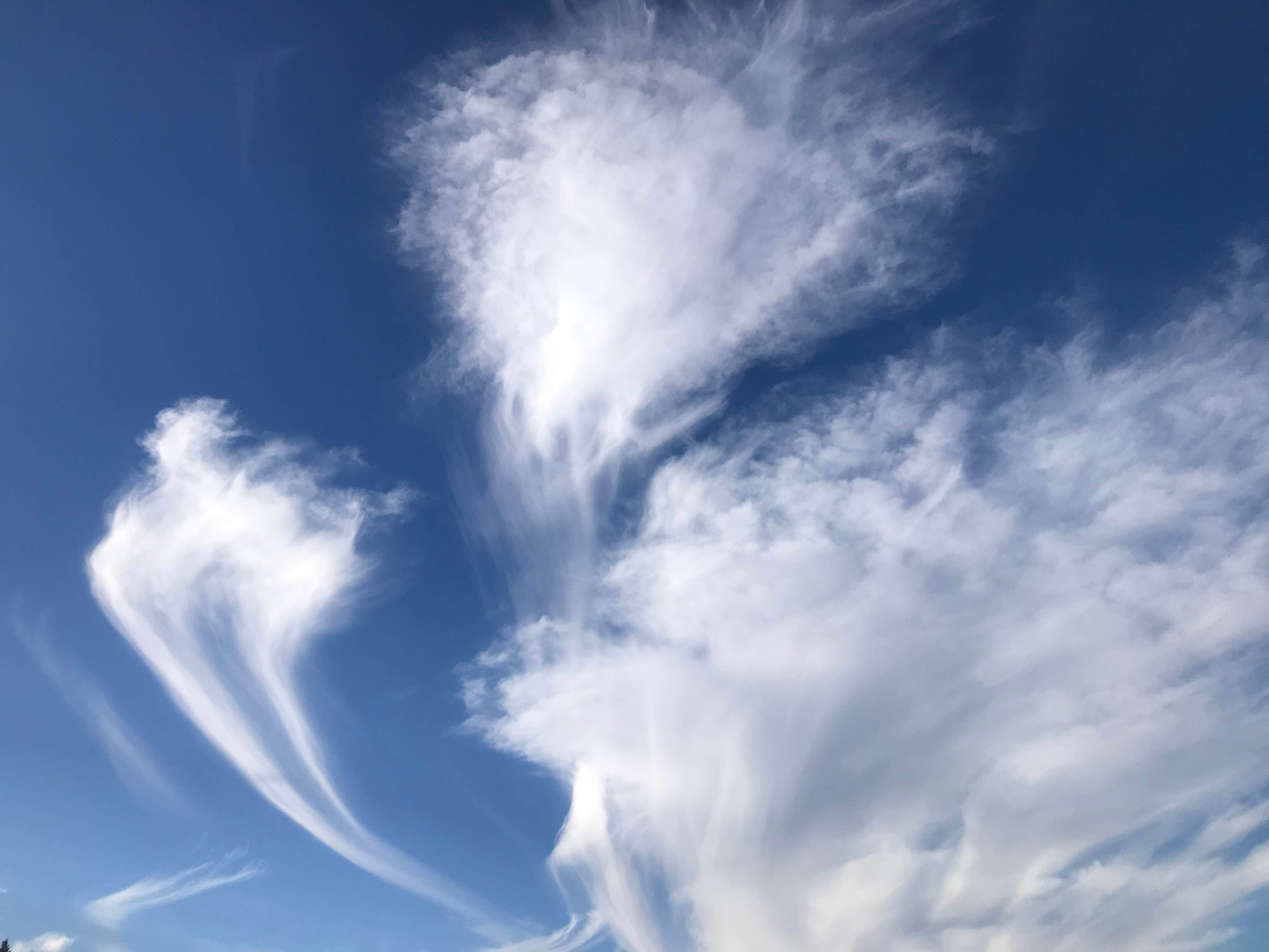 Camper-submitted photo at Nenana RV Park & Campground near Healy, AK