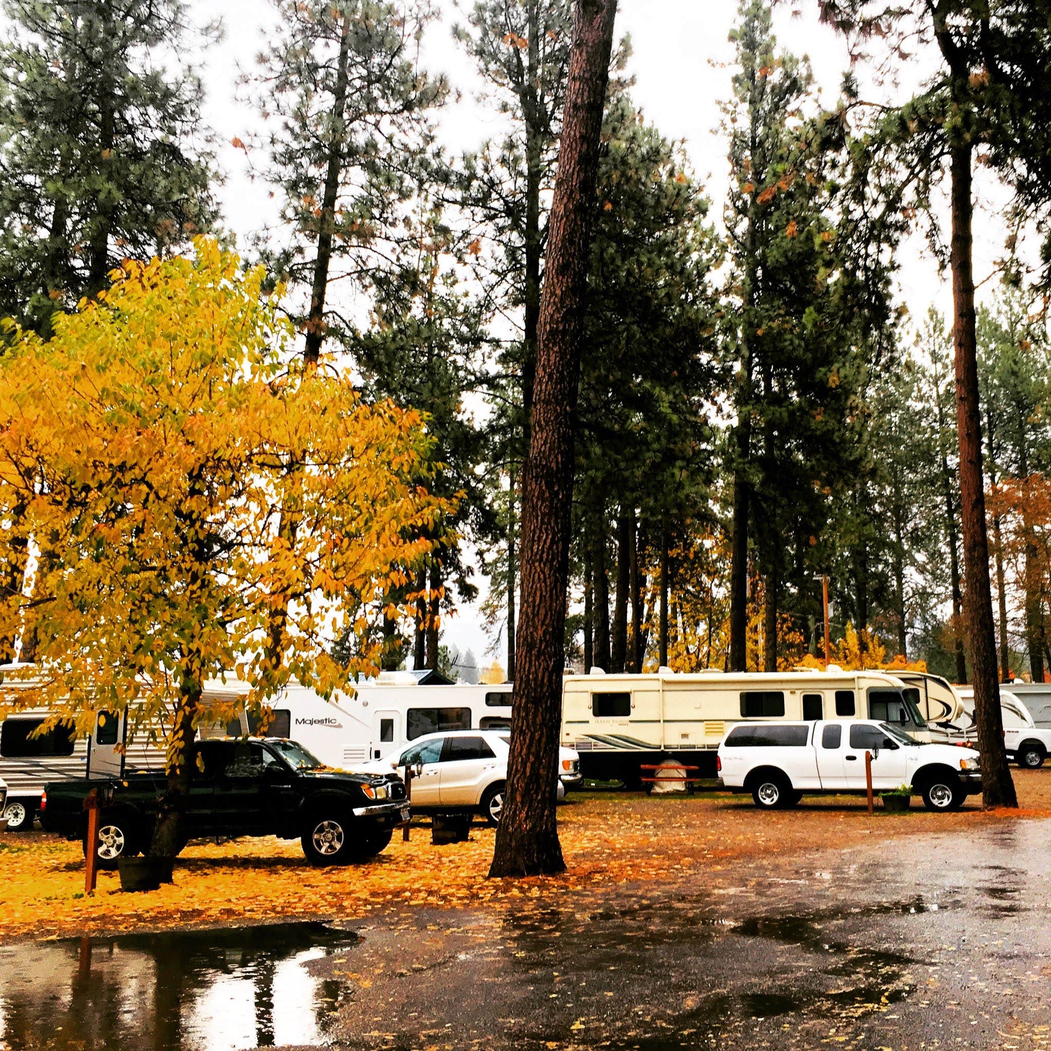 Camper submitted image from Tamarack RV Park And Vacation Cabins - 3