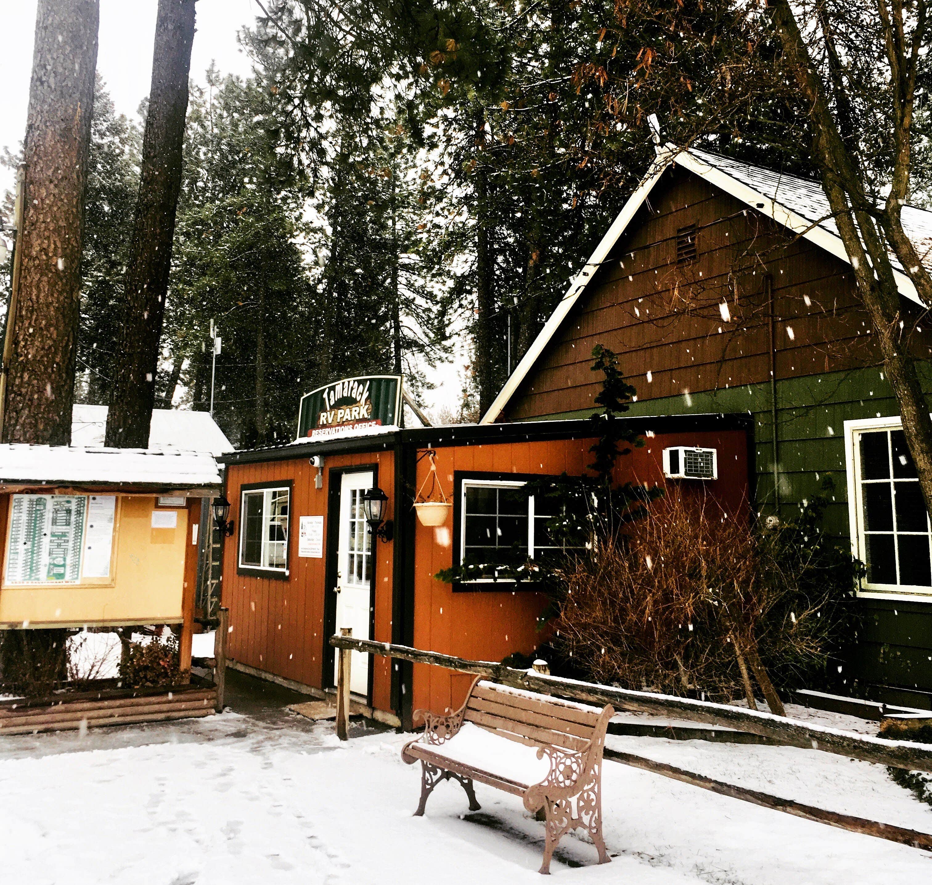 Camper-submitted photo at Tamarack RV Park And Vacation Cabins near Harrison, ID